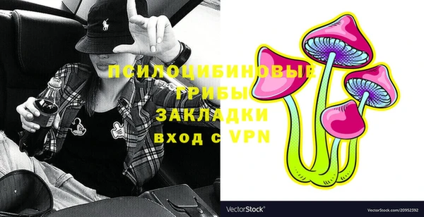 дмт Балахна