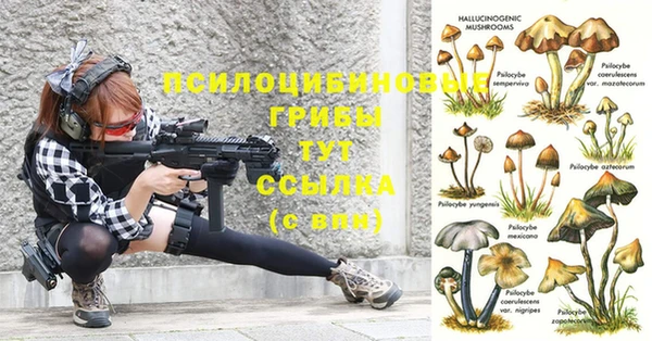 дмт Балахна